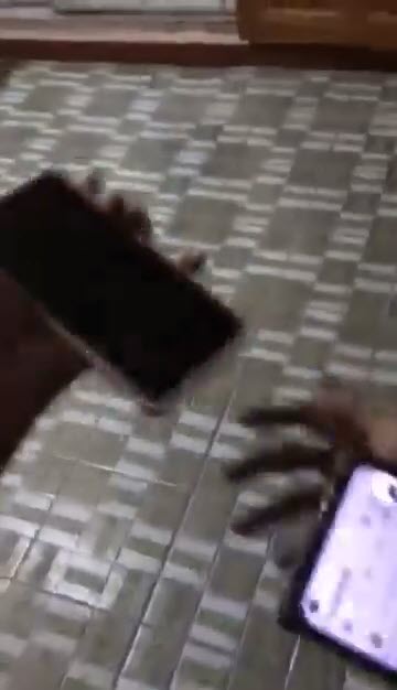 โอนเงินผิดบัญชี