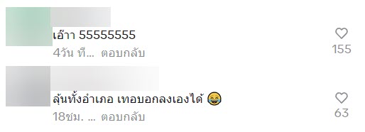 ช่วยแมว