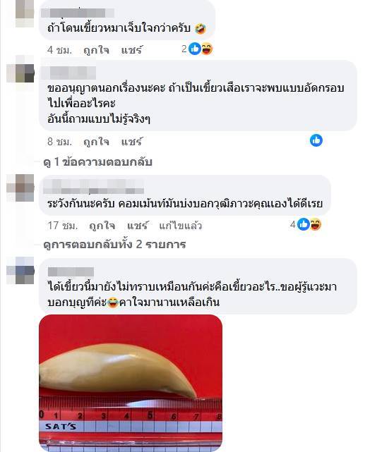 เขี้ยวเสือ 