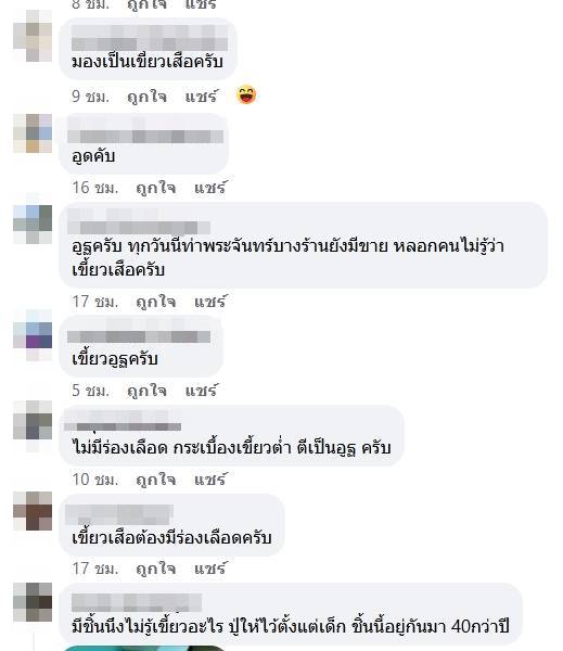 เขี้ยวเสือ 