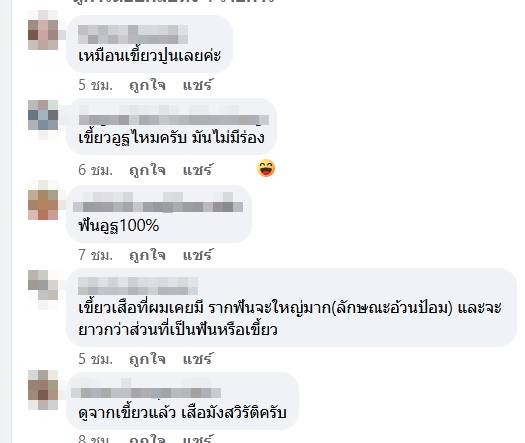 เขี้ยวเสือ 