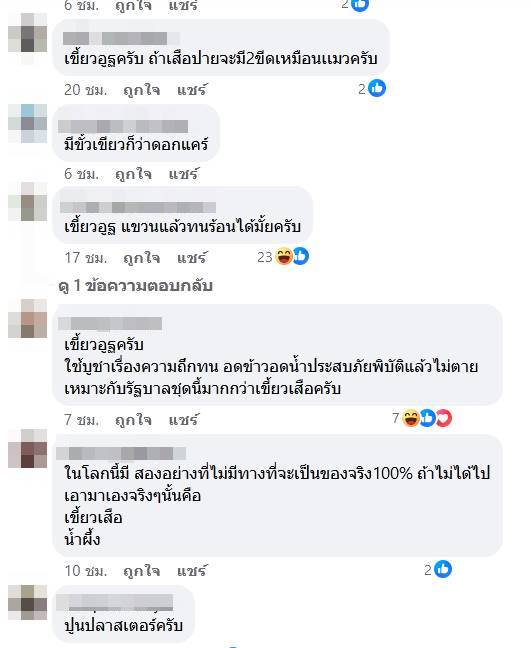 เขี้ยวเสือ 