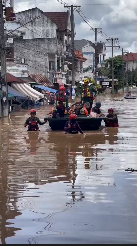 หมาน่ารัก