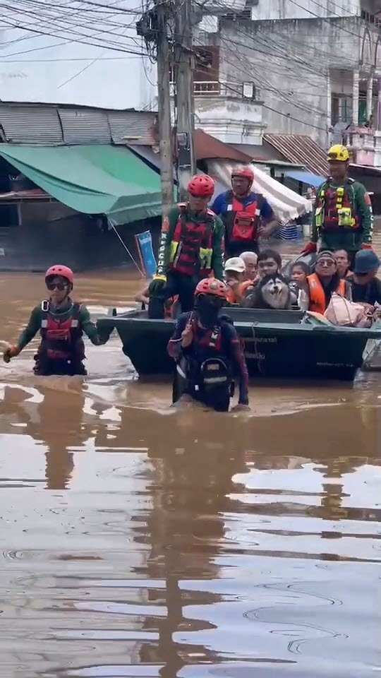 หมาน่ารัก