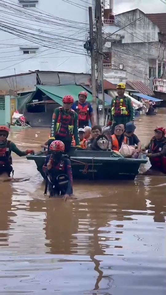 หมาน่ารัก