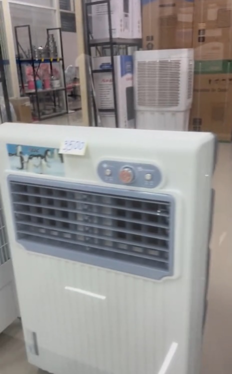 Samanea Plaza ปี 2024