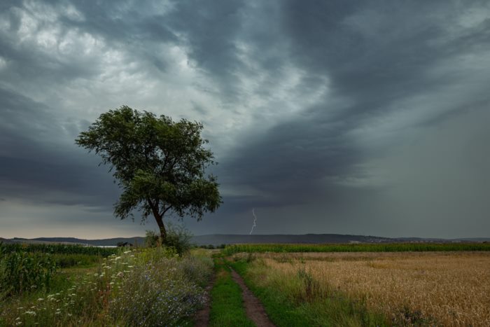  กรมอุตุนิยมวิทยา