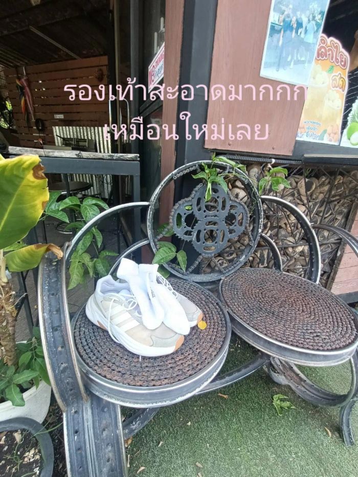  พี่จอง คัลแลน น้องแดน จูดี้ 