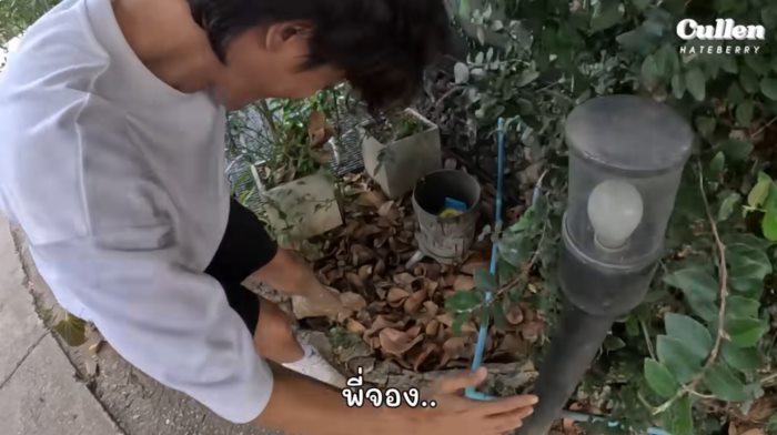 พี่จอง คัลแลน น้องแดน จูดี้