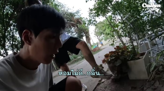 พี่จอง คัลแลน น้องแดน จูดี้