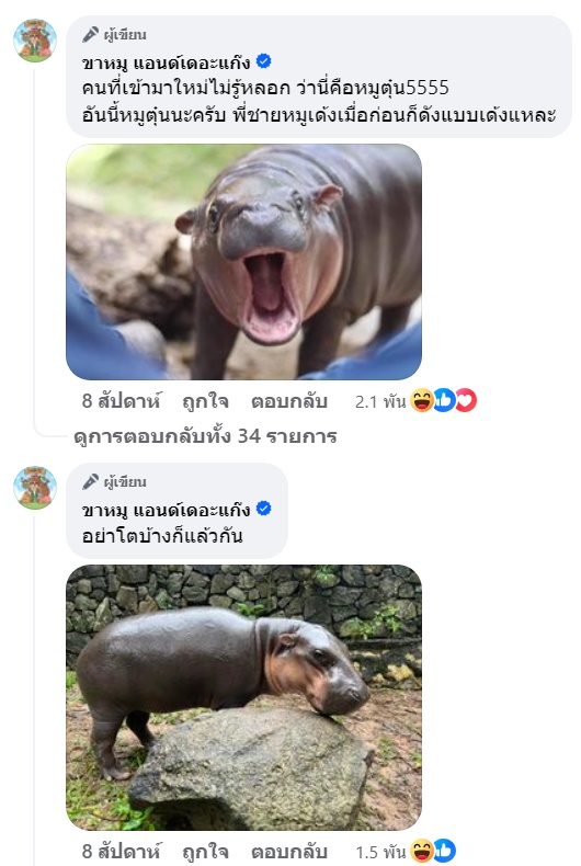  พี่ชายหมูเด้ง