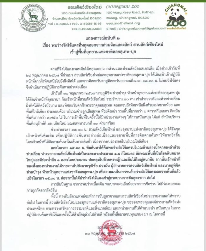  จิงโจ้แดง ตายในลำห้วย