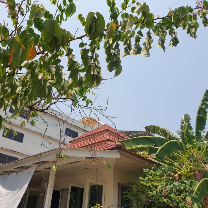 บ้านชั้นเดียวร้อน