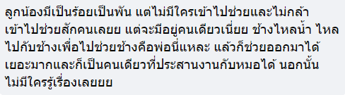 ช้างจมน้ำ