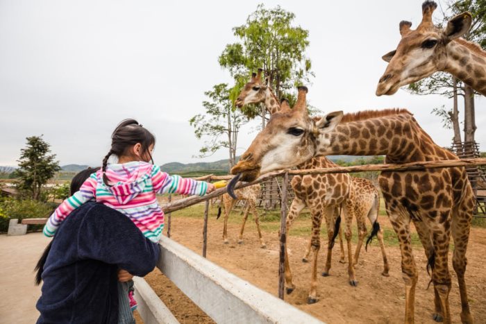 ทำงานสวนสัตว์