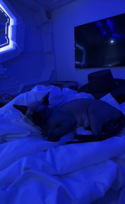 โรงแรมแคปซูล