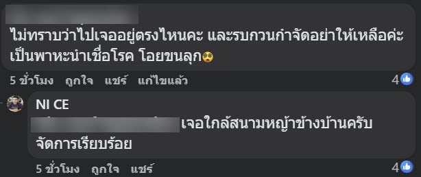หนอนตัวแบนนิวกินี