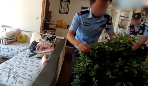 ซื้อของออนไลน์ แถมงูเป็นสิบ ! 