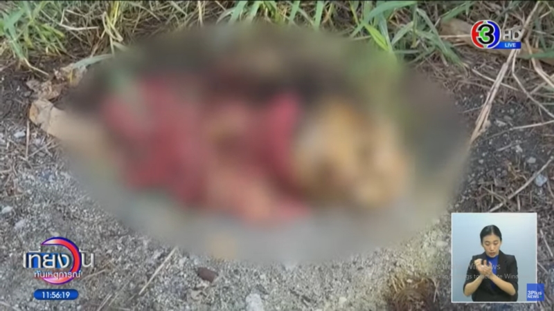 หัวมนุษย์กลิ้งจากพงหญ้า 