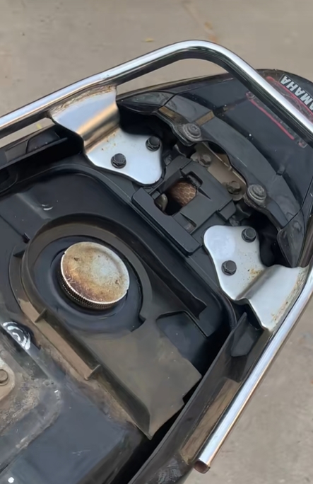 งูเข้ารถ