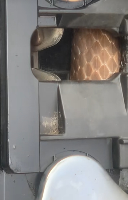 งูเข้ารถ