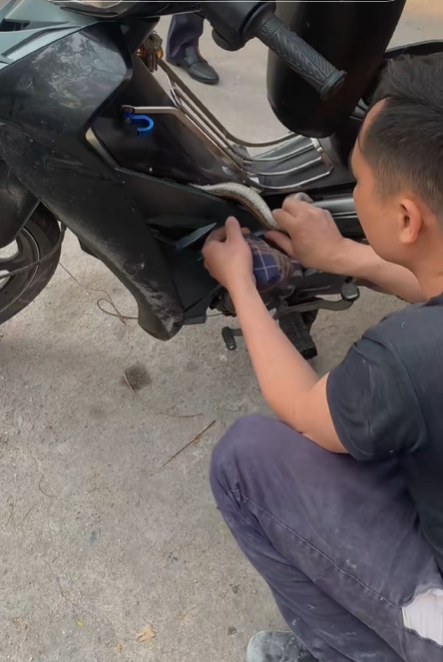 งูเข้ารถ