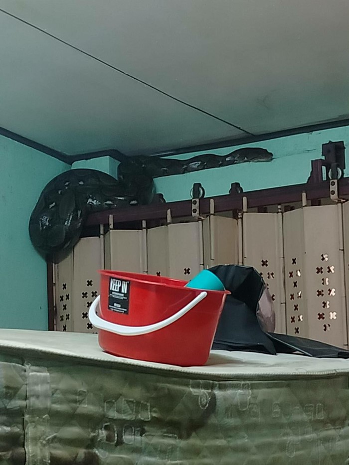 น้ำท่วมหาดใหญ่