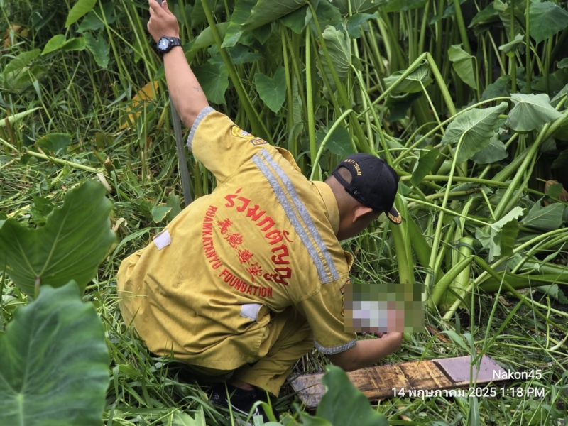 ตัวเงินตัวทองคาบเด็ก 