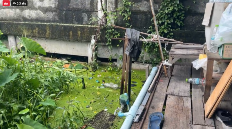 ตัวเงินตัวทองคาบเด็ก 