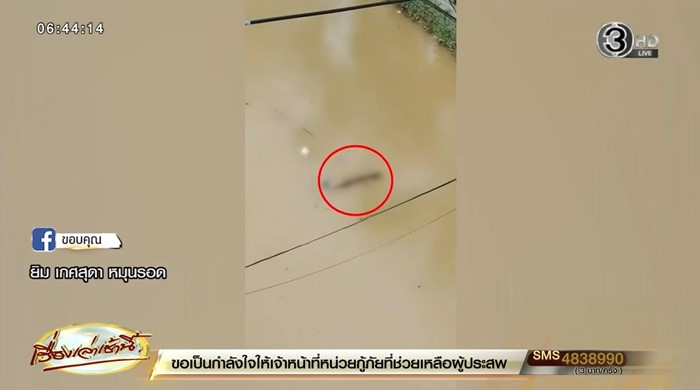 หาดใหญ่วิกฤต คนเสียชีวิตหลายราย