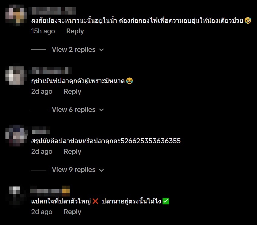 ปลาดุกหรือปลาช่อน อาหารใหม่ใกล้ฉัน