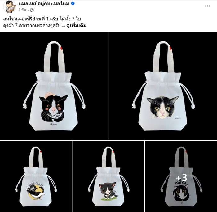 สมโชคตัวตึง แมวถูกกัดไปหาหมอ 