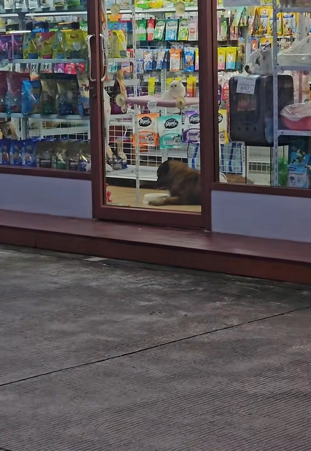 ทำไมไม่มีน้องหมา