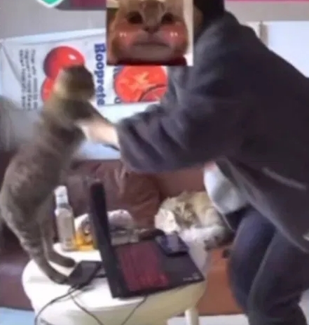 ใบลาออก