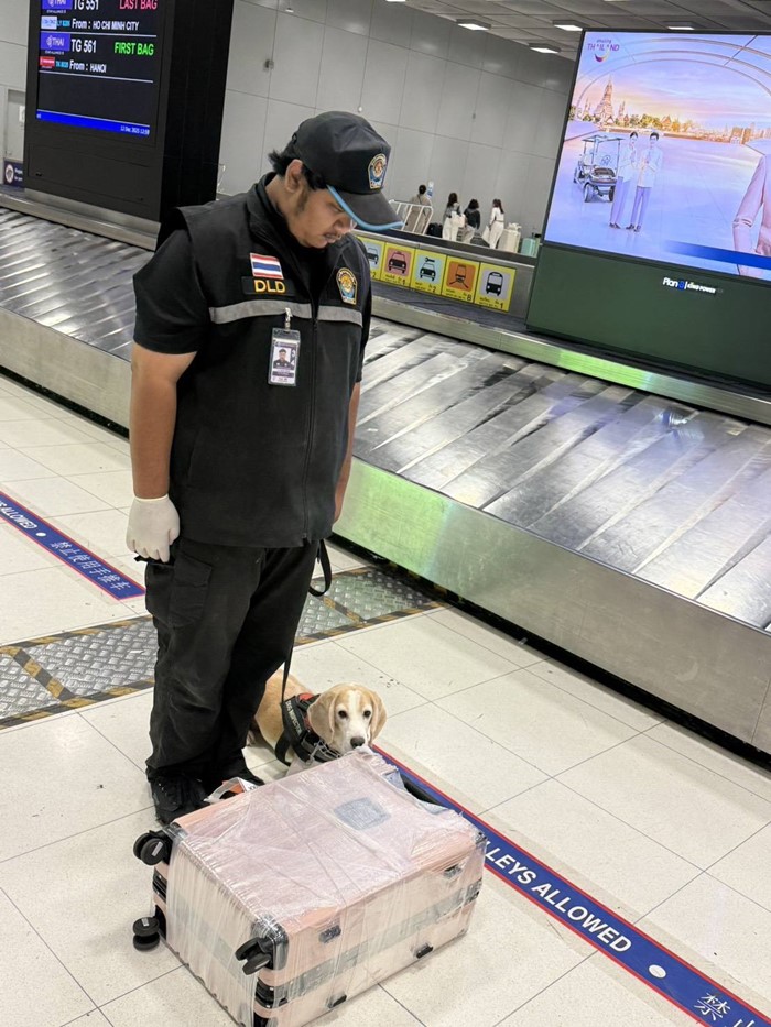  กระเป๋า ผดส. ถูก K9 ดมกลิ่นพบสิ่งผิดปกติ 