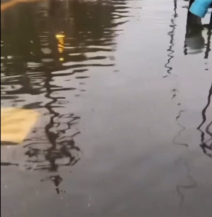  ม ม้า ลอยน้ำ !? 