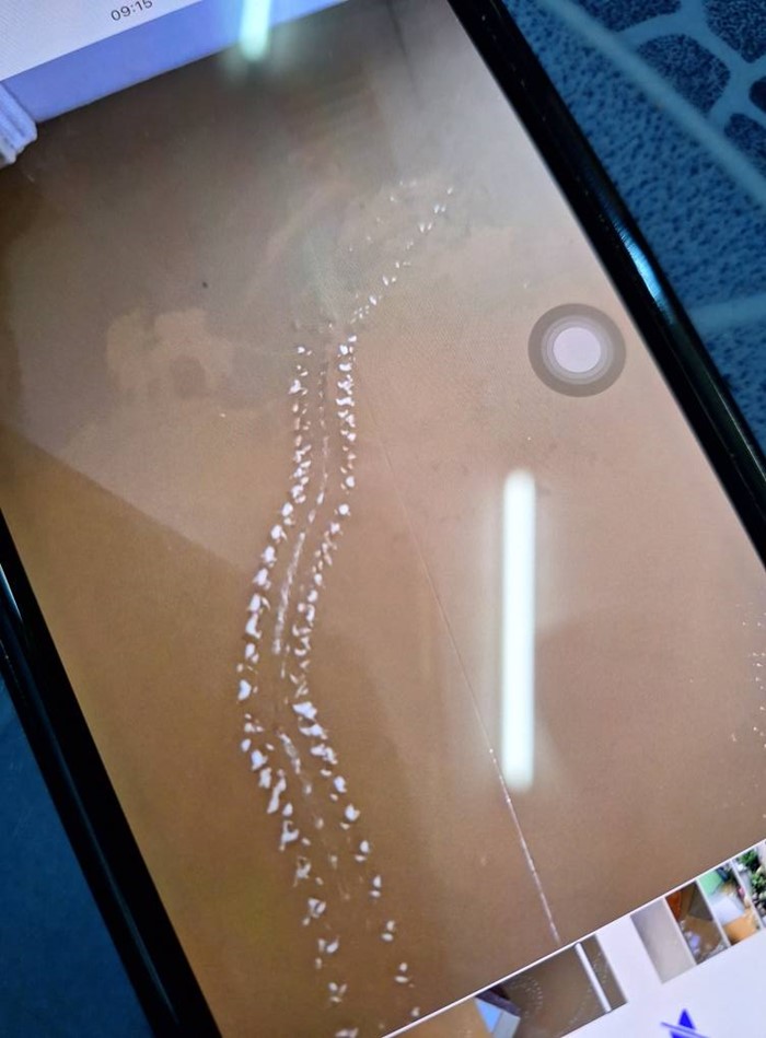 รอยพญานาค โผล่มาหลังน้ำท่วม