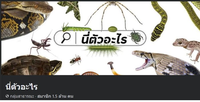 อาลัย ผู้ก่อตั้ง นี่ตัวอะไร 