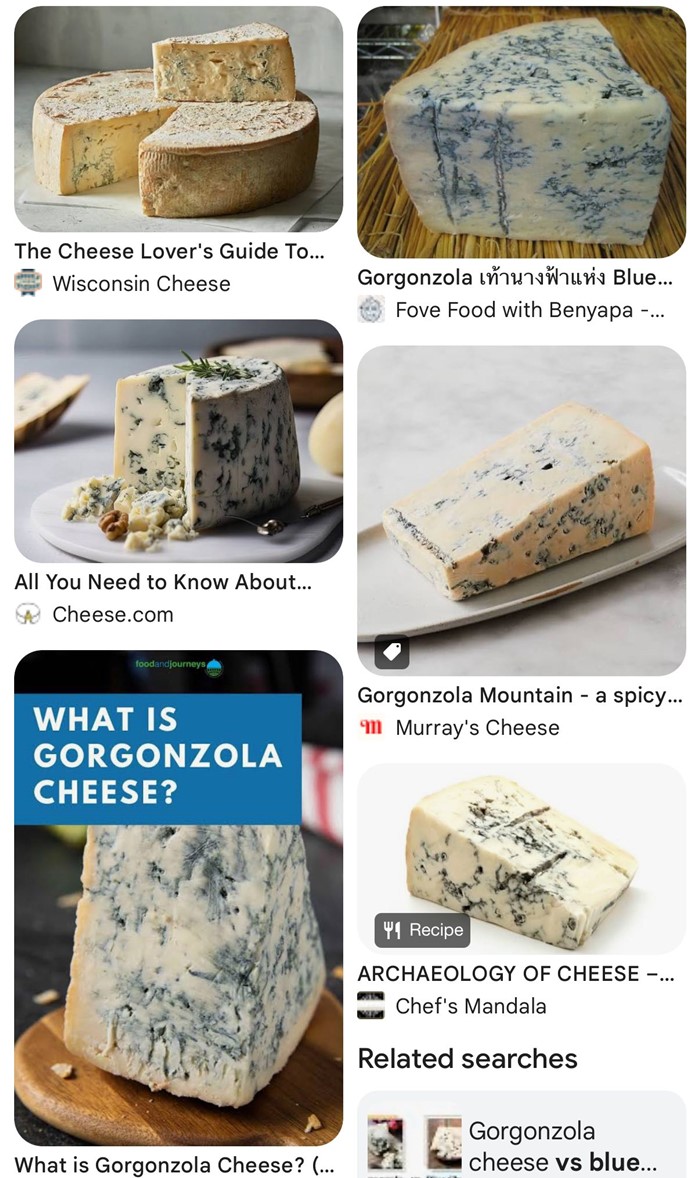 ความจริงของ ชีสขึ้นรา