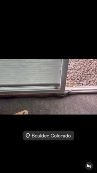 งูเข้าบ้าน