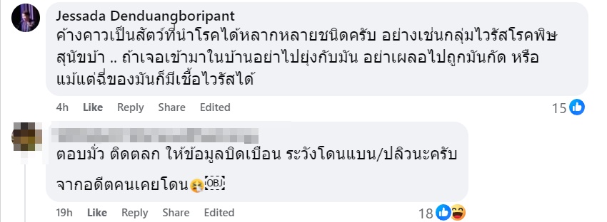 ค้างคาว