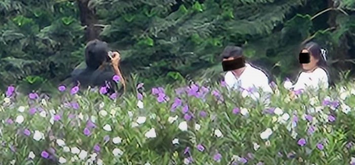 คาเฟ่ดังเขาใหญ่ จับโป๊ะคู่รักแอบถ่ายพรีเวดดิ้งคาเฟ่ดังเขาใหญ่ จับโป๊ะคู่รักแอบถ่ายพรีเวดดิ้ง