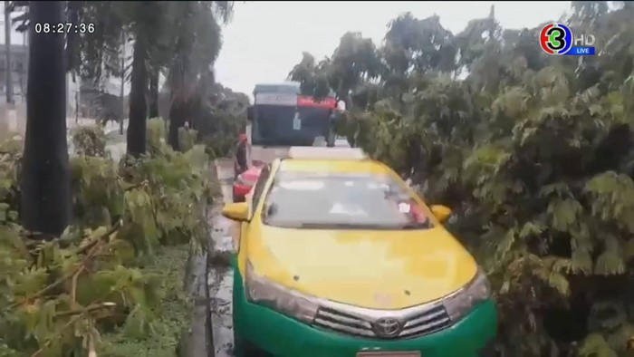  ฝนถล่มกรุงเทพฯ เช้ามืด ต้นไม้ล้ม เสาไฟโค่น รถพังเพียบ จราจรติดขัด