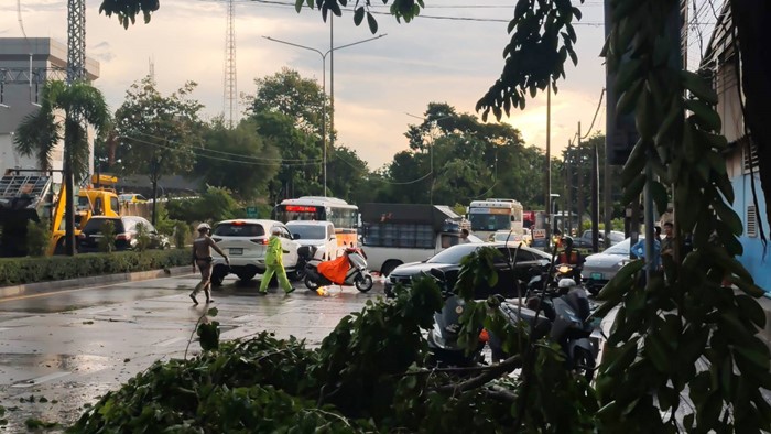  ฝนถล่มกรุงเทพฯ เช้ามืด ต้นไม้ล้ม เสาไฟโค่น รถพังเพียบ จราจรติดขัด