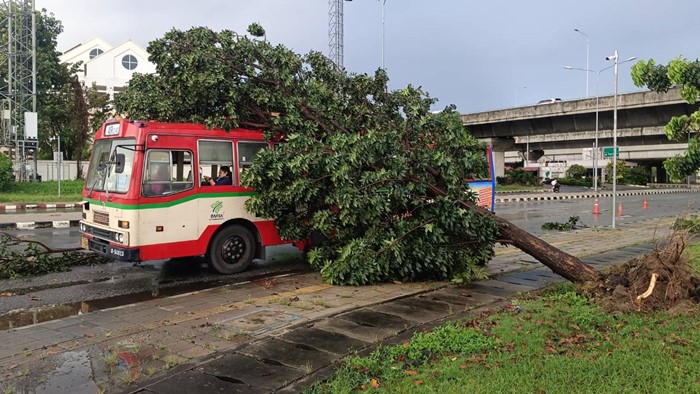  ฝนถล่มกรุงเทพฯ เช้ามืด ต้นไม้ล้ม เสาไฟโค่น รถพังเพียบ จราจรติดขัด