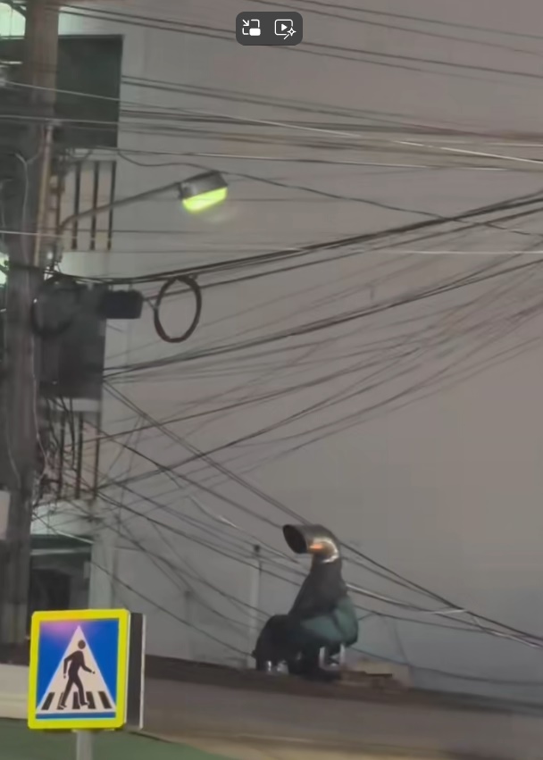 ความจริงของไรเดอร์บนหลังคา