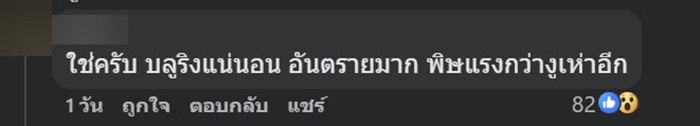หมึกบลูริง