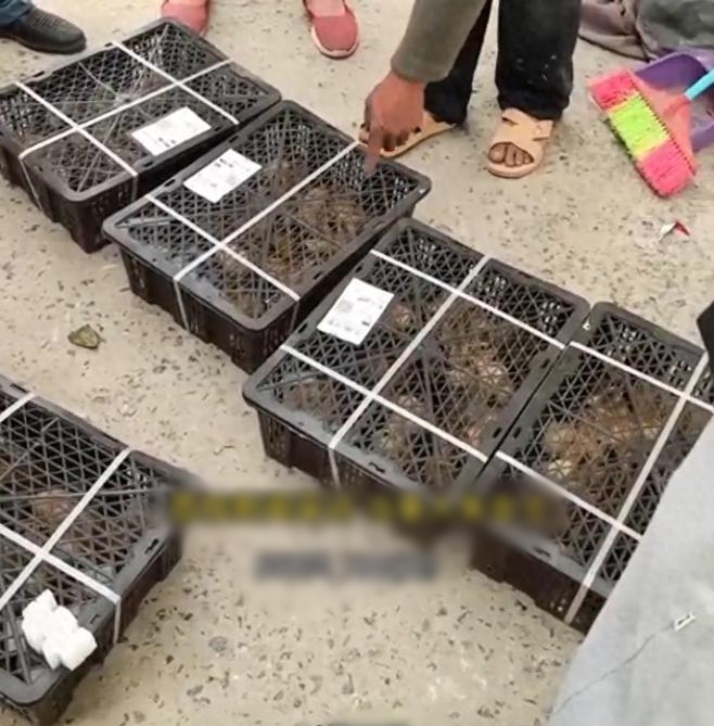 สั่งของออนไลน์ 