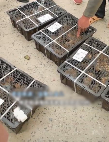 สั่งของออนไลน์ 