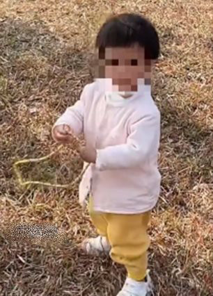 เจอทองคำเส้นโต 3 แสน 